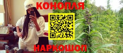 прущие грибы Братск