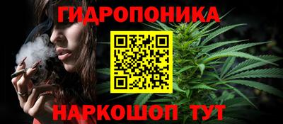 прущие грибы Братск