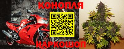 прущие грибы Братск
