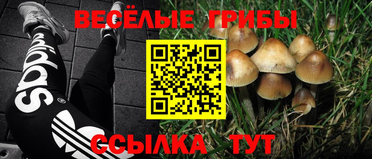Галлюциногенные грибы ЛСД Тихвин